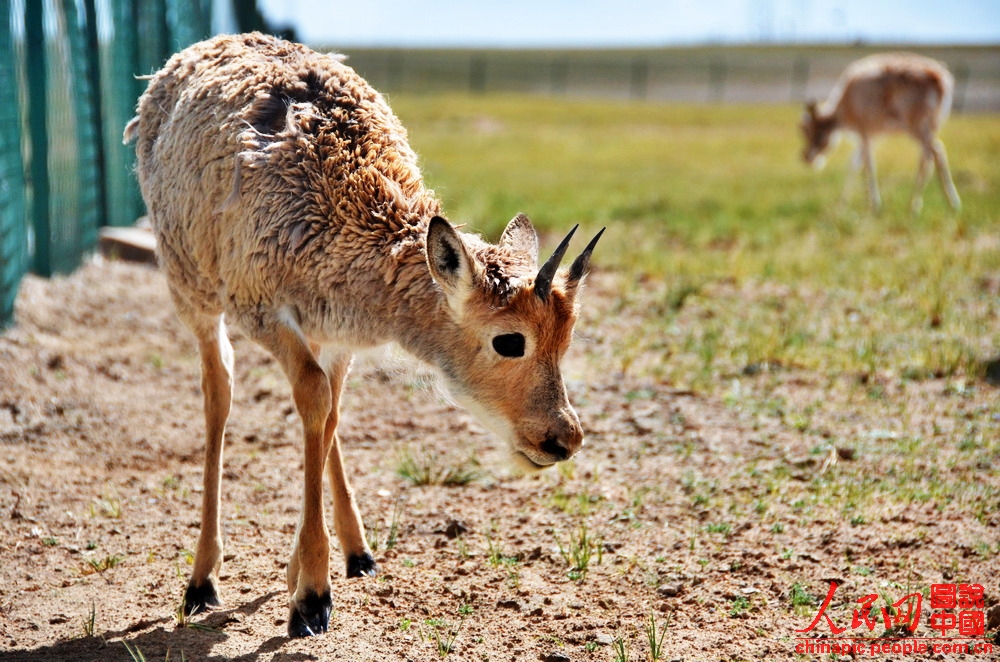 �߽��ɿ���������������ܽӴ�