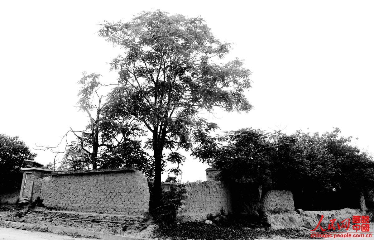 �ϼҷں��Ҵ�