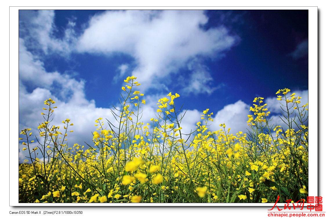 ����̫����--8���Ͳ˻���