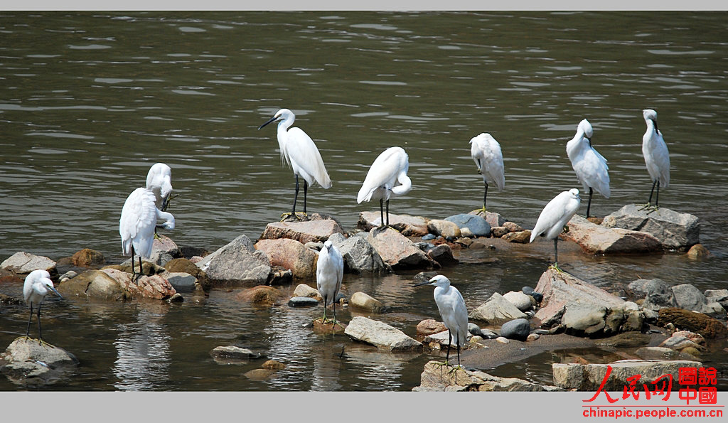 ��������--����ʪ�ذ�����