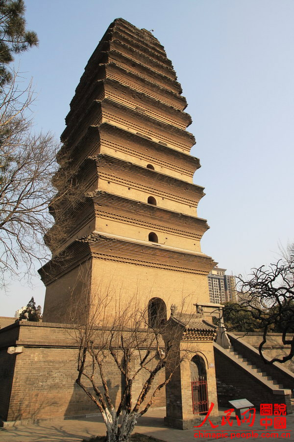 С��������