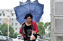 �����ء���Ϯ �����������