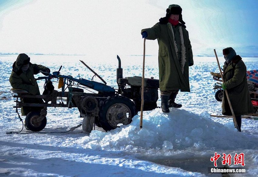 ���ͷ������������̵ġ���ָ�ӡ��������е����ڹ����Ĺ�����ͬһ����ָ�Ӱ���������Ľ��ࡢ�����Ŀ����ȶ�����ָ�ӡ�