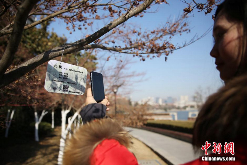 ���պϷ���ľ����ά�롰����֤��