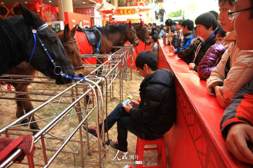 ����ĳ�̳����������١�ϲӭ���괺�ڡ�3��