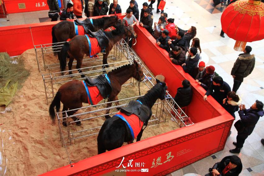 ����ĳ�̳����������١�ϲӭ���괺�ڡ�2��