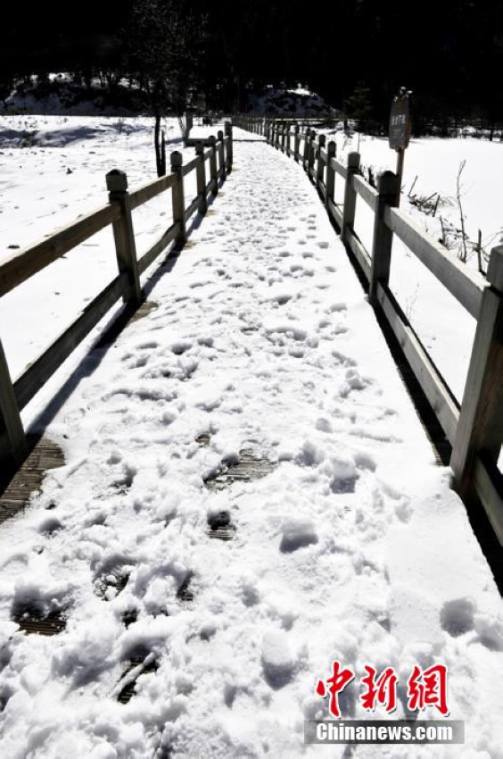 ̽�á��붼������ı�ɽ�������Ĵ���ű�ɽ��4��