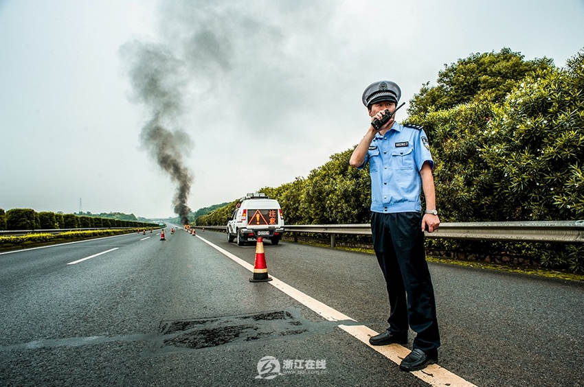 �����棬������ɢ���ֳ���ȫ��������һ����¹��ֳ�