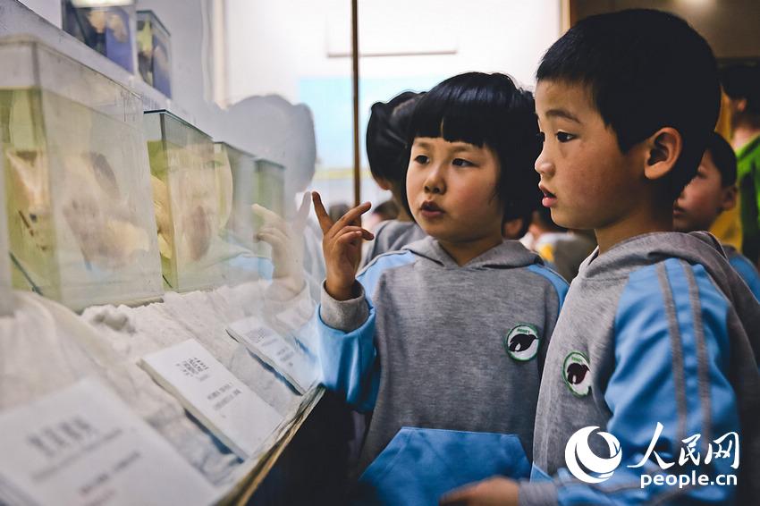 С���Ѳι��Ϻ���Ȼ�����