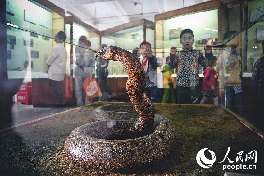 С���Ѳι��Ϻ���Ȼ�����