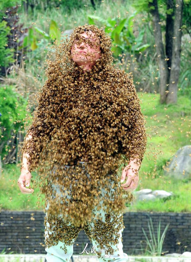 江西“第一蜂人”蜜蜂裹身53分34秒 创世界纪录【3】--图说中国--人民网