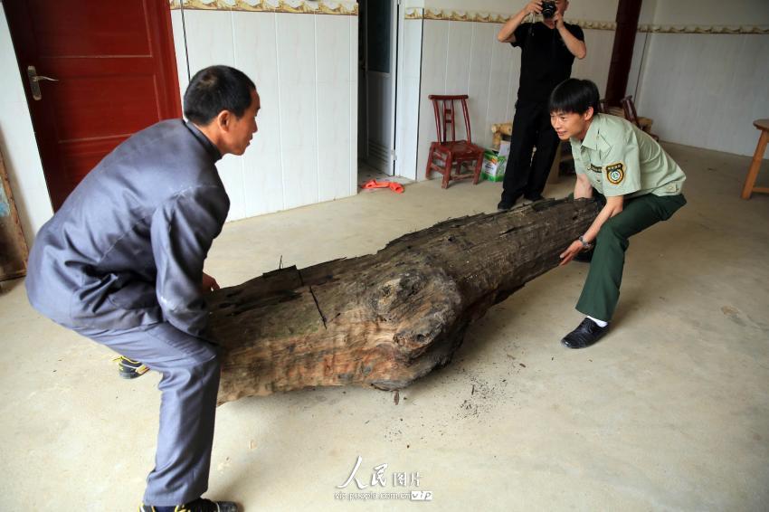 �����ľ�������׳�������̧������