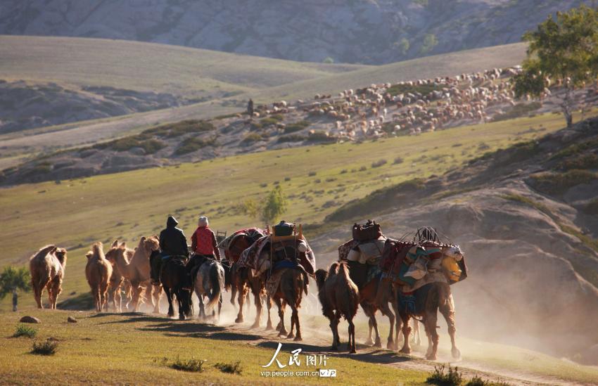 6��8�գ��½�����̩�����������������ţ��ʼ��������Ǩ�㡣