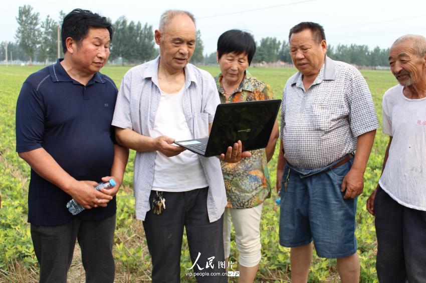 6月23日,张兴隆在河南省民权县双塔乡常东村的花生