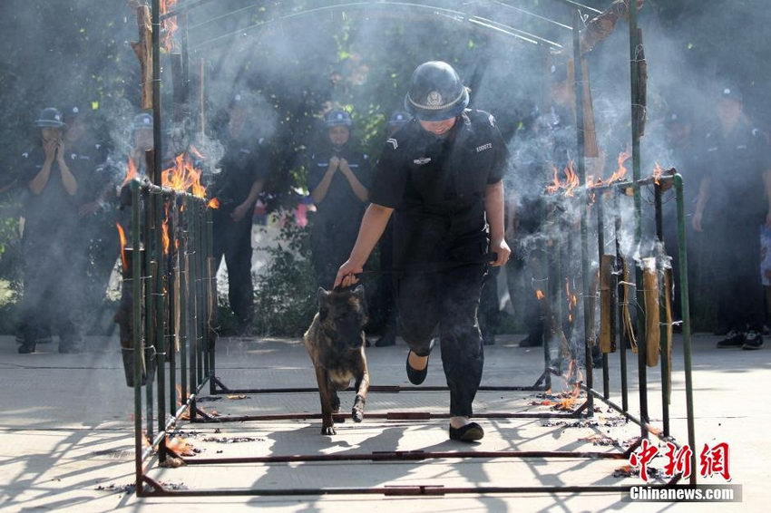 ����ĳ��������Ů�ӷ��־�Ԯ�ӡ�5��