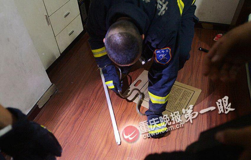 ������Ա������������ǽ�ڵķ�϶�������ߡ�