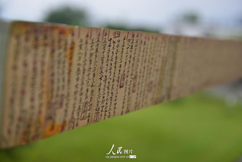 7��27�������ڹ���ʡ�Ž���ˮβˮ����ˮ��巢�ֵĲ�ҳ��ɫˮ��������汾ˮ�顣