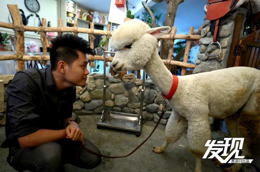 ����Ȼֻ��һ��֮Ե�����ص�������һֱ�������ɰ������ӣ��;������������������չ�����������ҫ˵��