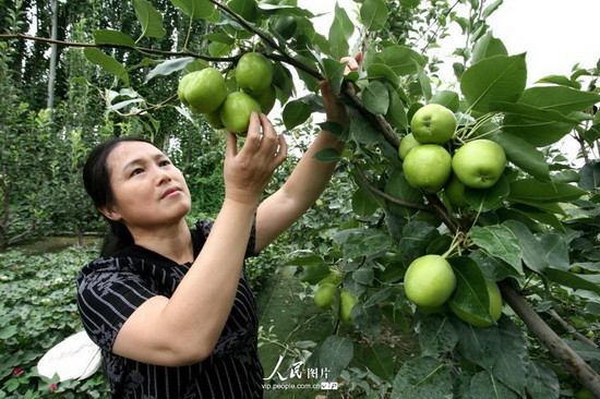 �½�����գ����������Զ���ڵ��г����³裨2014.8.2�������2��