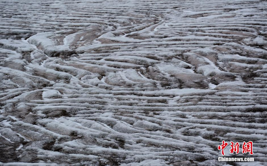 千年冰川上一道道沟痕是冰川的年轮。