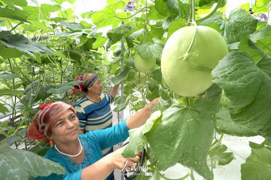 �½����ܣ��Ƽ�Ԯ����˶����2014.8.20�������2��