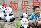 千只“熊猫”沈阳宣传环保