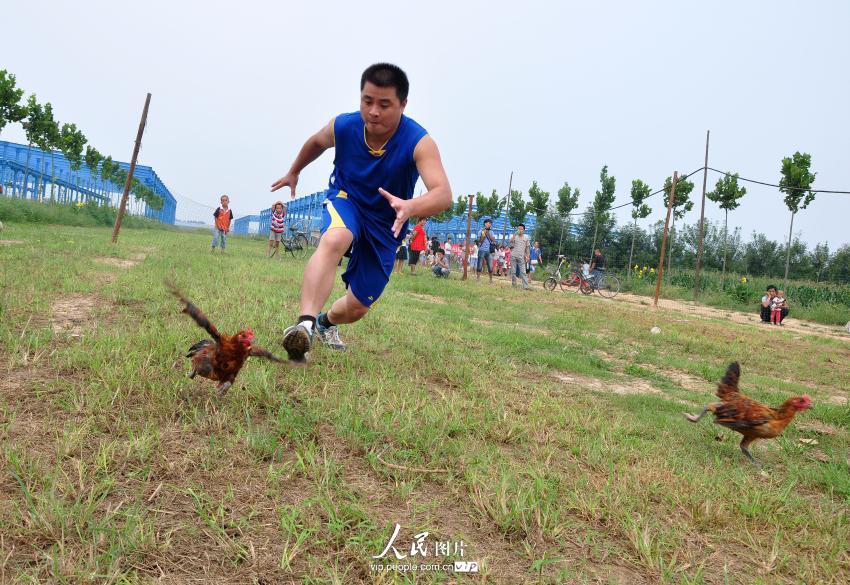 农民运动会项目“空手捉家禽”，要求用时最短捉到家禽为获胜者。