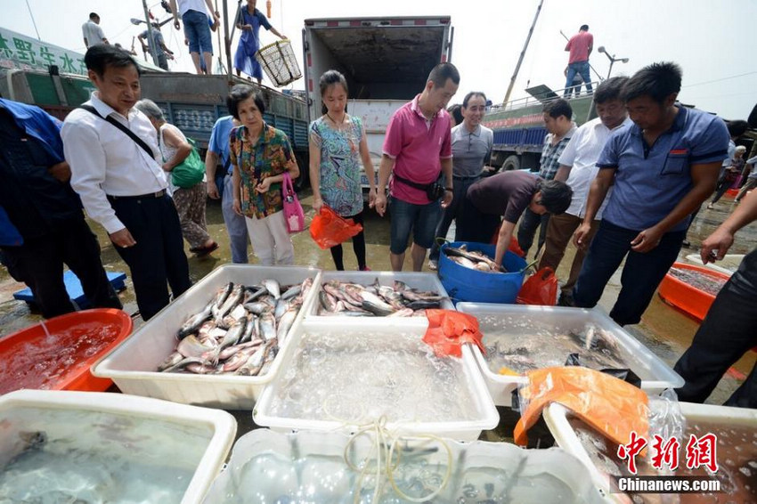 图为市民到渔港码头赶集，购买太湖水产品“尝鲜”。