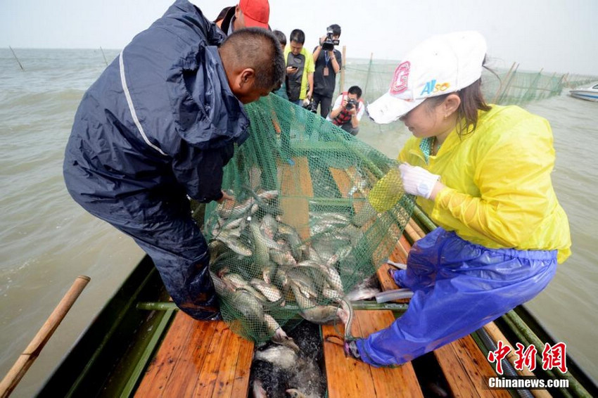 图为苏州太湖渔民进行捕捞作业。