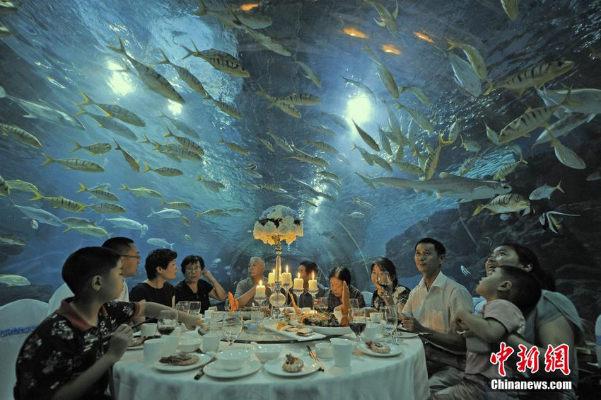 天津：游客海底隧道中感受“舌尖”上的美食【2】