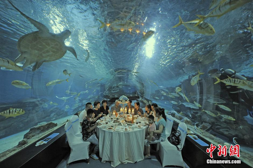 天津：游客海底隧道中感受“舌尖”上的美食