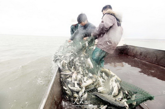�½�����̩���׹ź����ֵ�һ���ﲶʱ��2014.9.10�������2��