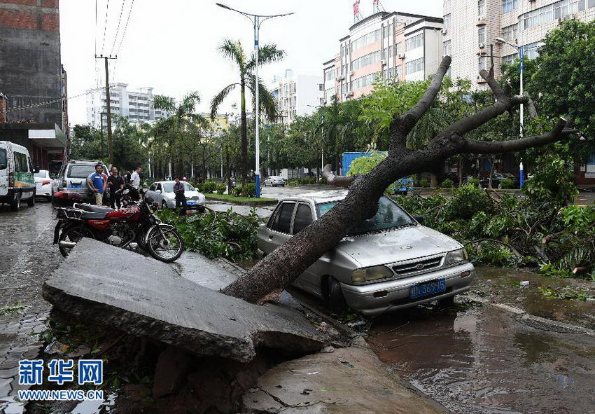 9月17日，在广西防城港市港口区，一辆停在路边的汽车被倒下的树木砸中。