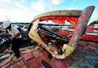 835艘渔船被台风损毁