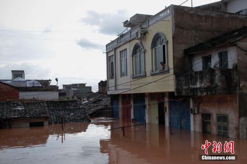 ̨�硰��Ÿ���¹���������ˮ���� ���ڷ��۳��С�6��