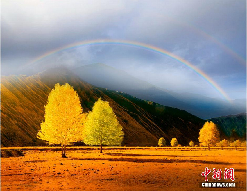 图为《彩虹・秋景》。 王雪峰 摄