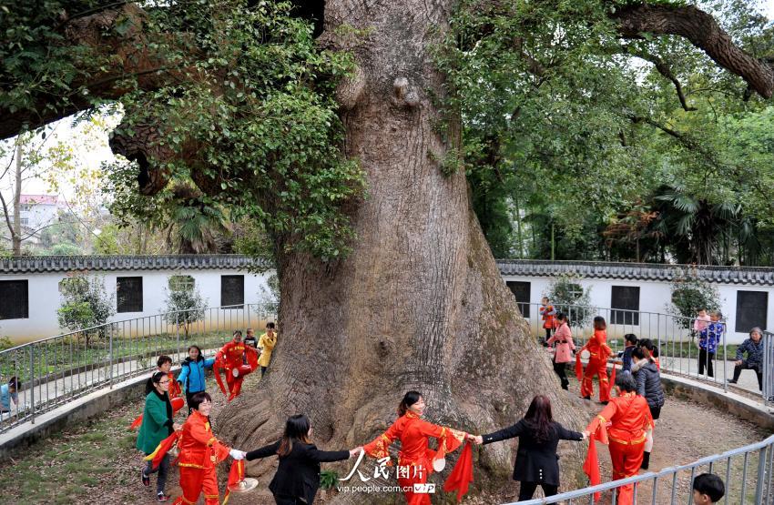 11��15�գ��ο��ڽ���ʡ�����к����򺣿ڴ�ǧ������Ժʹ���һ�������ֽ�ǧ�����Χ��