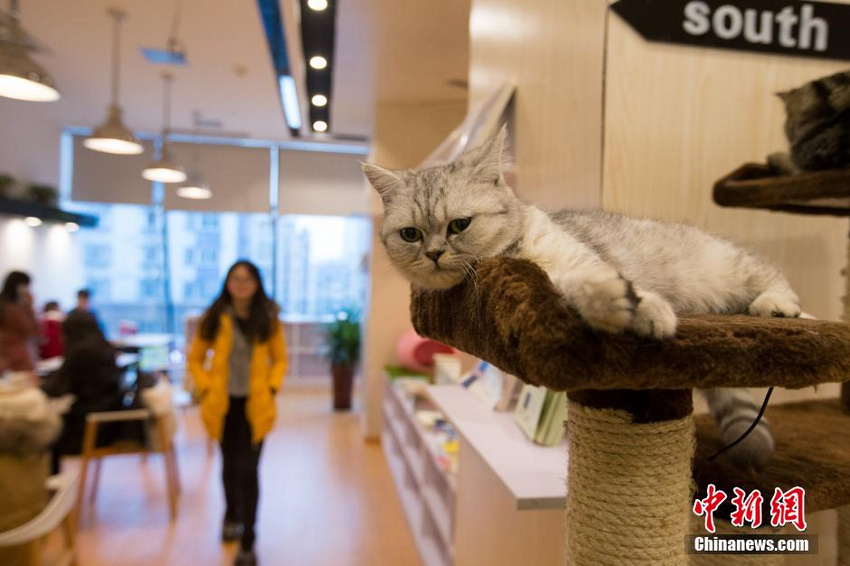 �������ˡ�������� ��˿Ϳ���ȿ��ȡ�3��