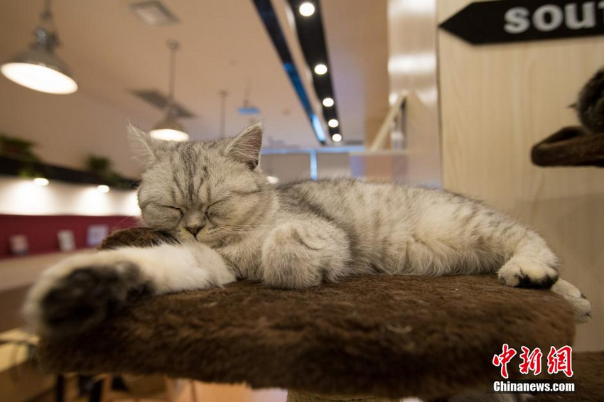 �������ˡ�������� ��˿Ϳ���ȿ��ȡ�7��