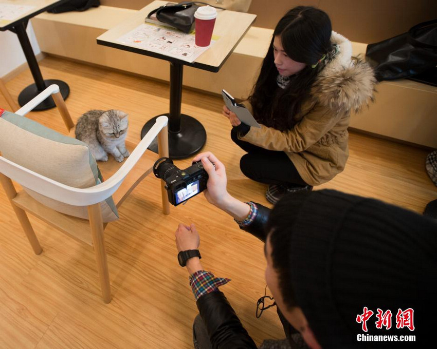 �������ˡ�������� ��˿Ϳ���ȿ��ȡ�8��