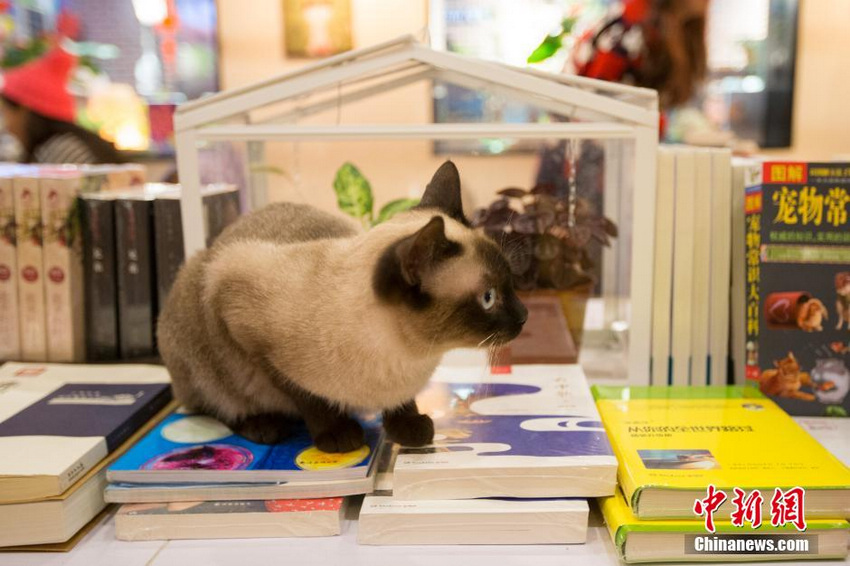 �������ˡ�������� ��˿Ϳ���ȿ��ȡ�4��