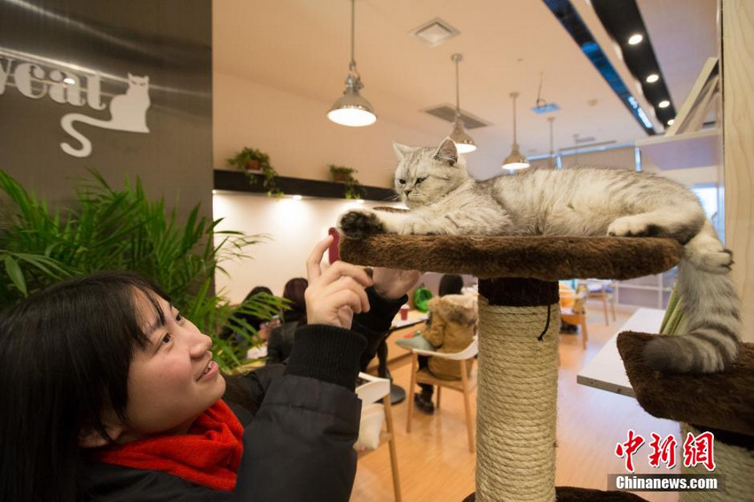 �������ˡ�������� ��˿Ϳ���ȿ���