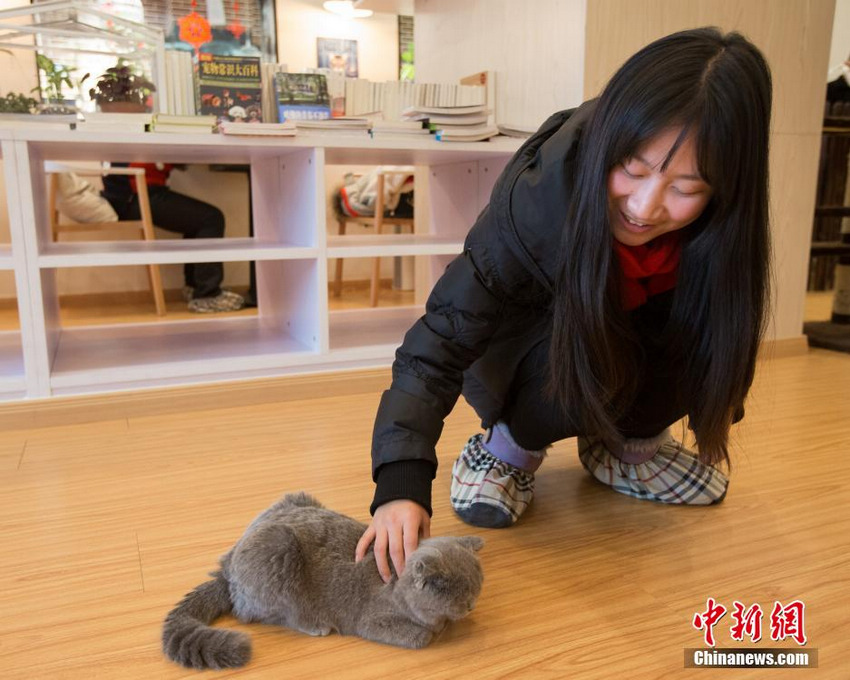 �������ˡ�������� ��˿Ϳ���ȿ��ȡ�9��