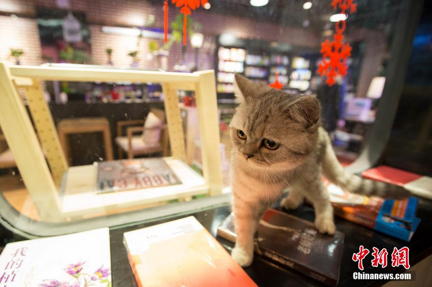 �������ˡ�������� ��˿Ϳ���ȿ��ȡ�6��