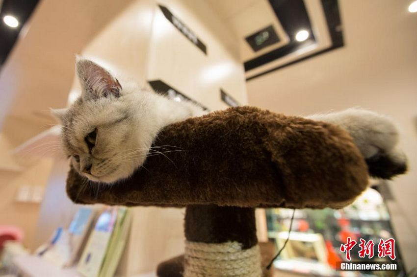 �������ˡ�������� ��˿Ϳ���ȿ��ȡ�11��