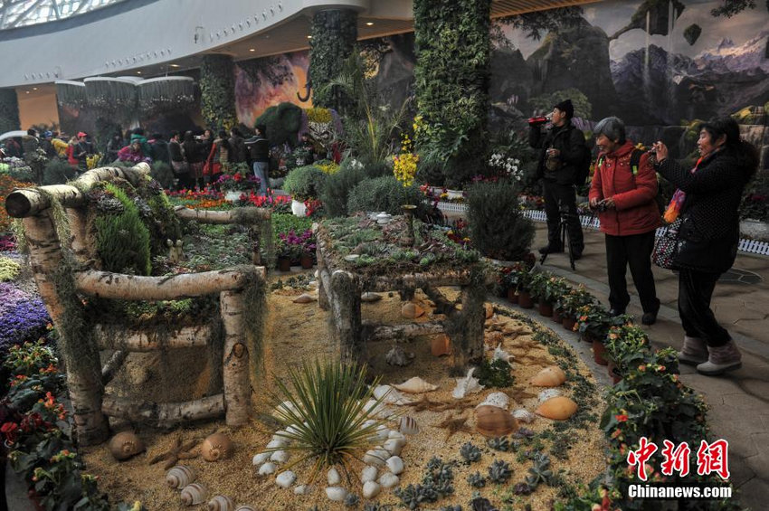 1��14�գ���������֮�ǡ�������ҵ�ۺ����ڣ��ι�������������ֲ����ɳ����