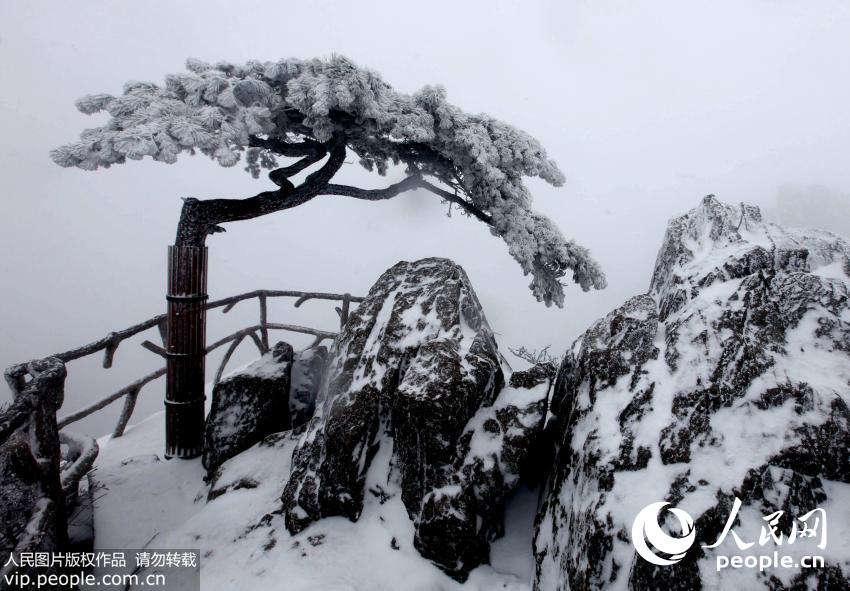 黄山风景区迎来2015年首场大雪 银装素裹宛若仙境