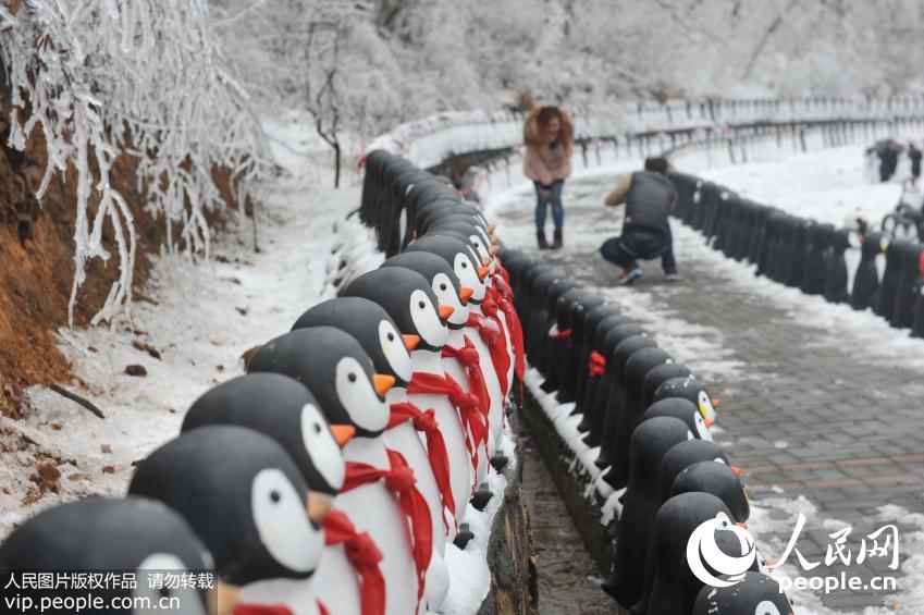 ���壺2015ֻ����족����è���ս��㽭�ٰ�ѩ�ؼ������ȡ�4��