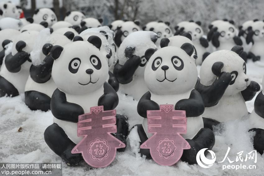 ���壺2015ֻ����족����è���ս��㽭�ٰ�ѩ�ؼ������ȡ�5��