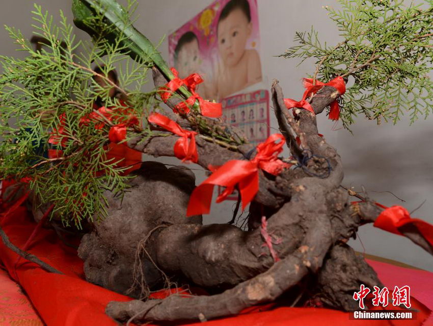 �㽭��һ�����ڵ���״�� ����ǧ��Ұ�������ڡ�4��